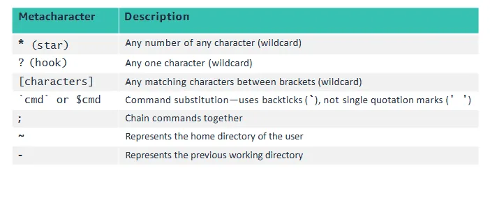 Bash metacharacter