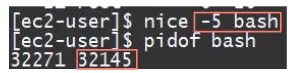nice command